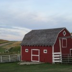 View from Deb's studio window (Inspiration for Mary Grace)