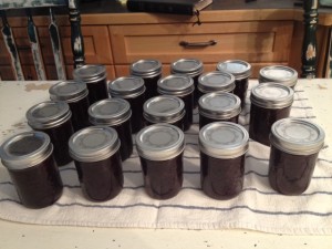 Gooseberry jam