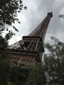 Eiffel Tower in Trees