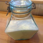 Sourdough starter